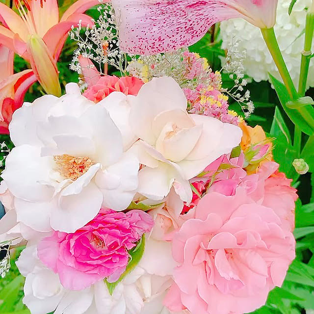Hanakaさんの部屋