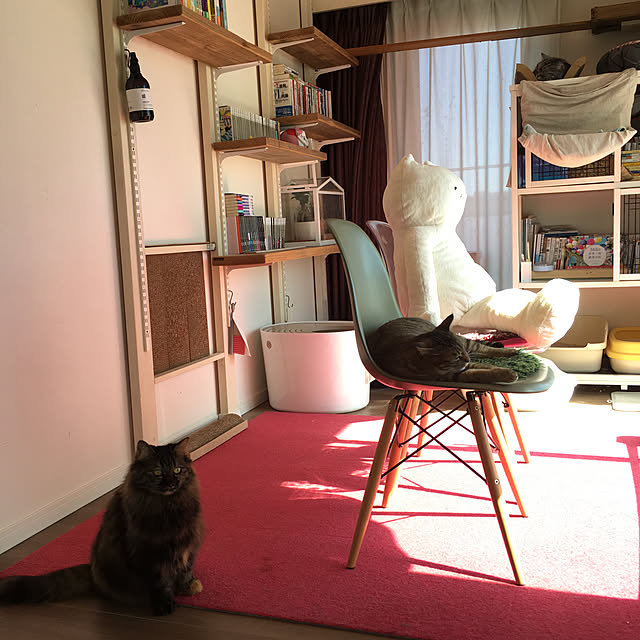 mikomaruさんの実例写真