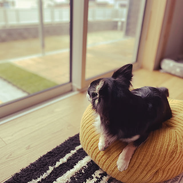 norimarukoさんの実例写真