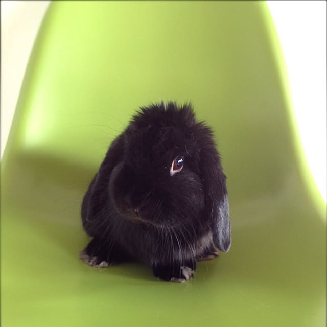 tu-chanさんの実例写真