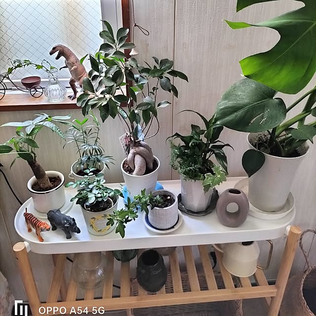 pua.dekoさんの部屋