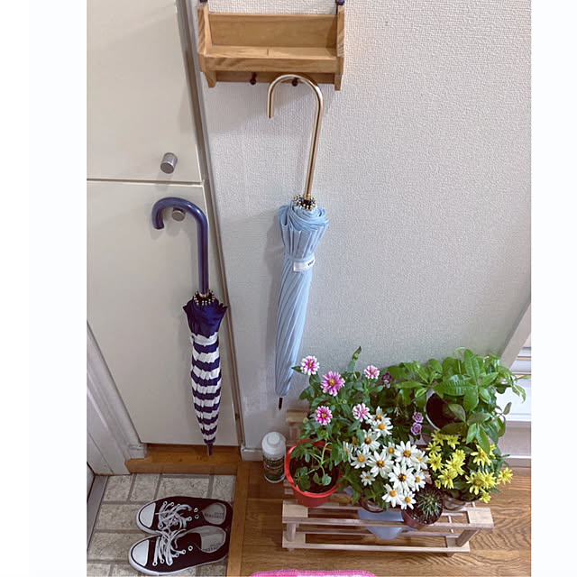sakuramiffyさんの実例写真