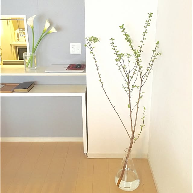 rinさんの実例写真