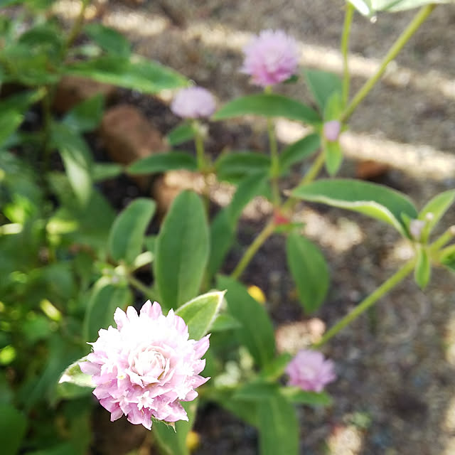 Hinataさんの実例写真