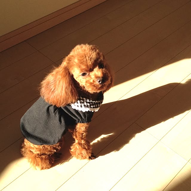 cocoさんの実例写真