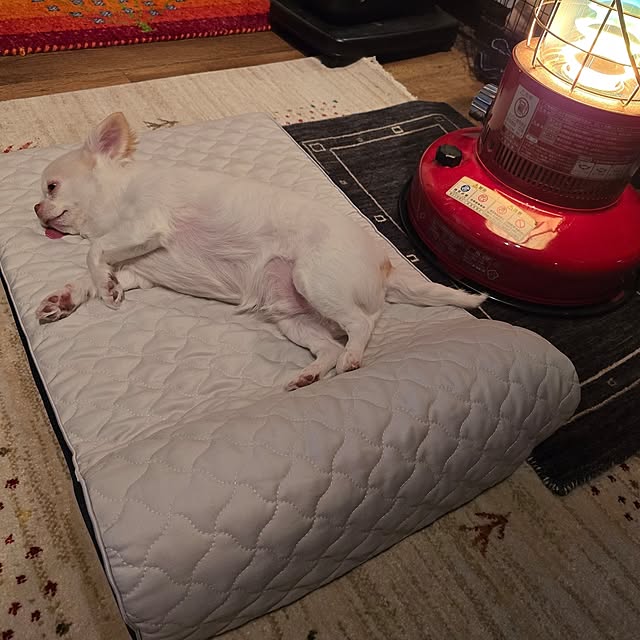 maaaaroさんの実例写真