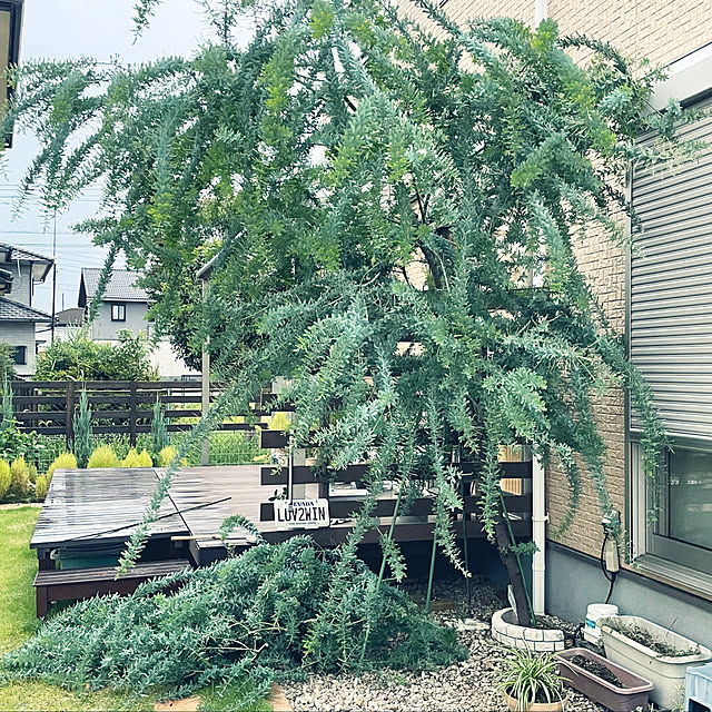 t-famさんの実例写真