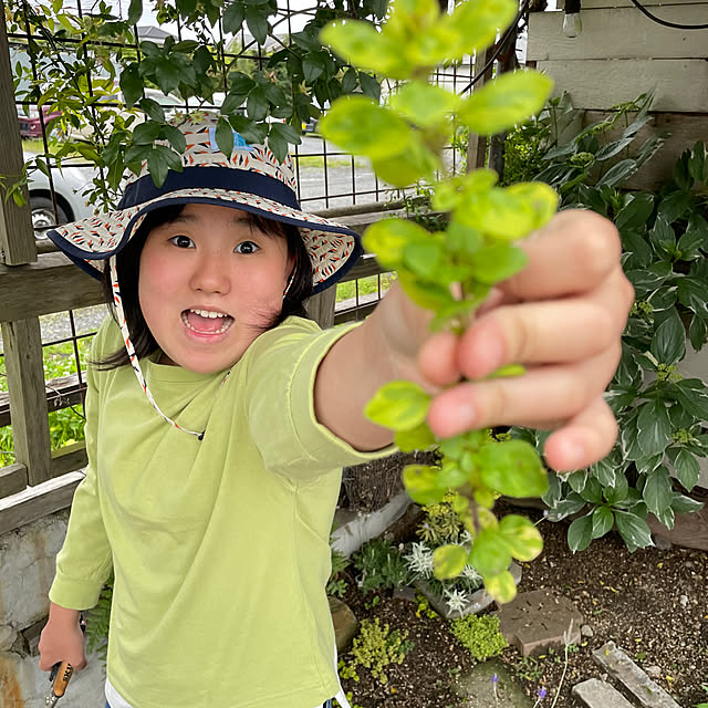 GreenWorksさんの部屋