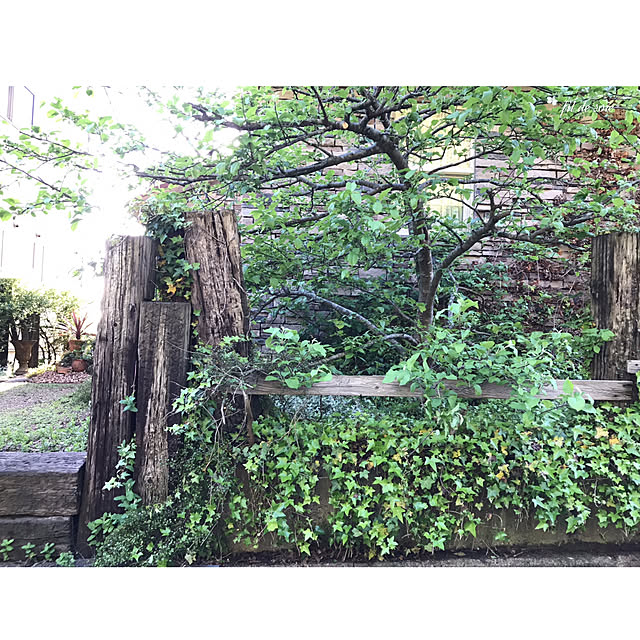kinu-itoさんの実例写真