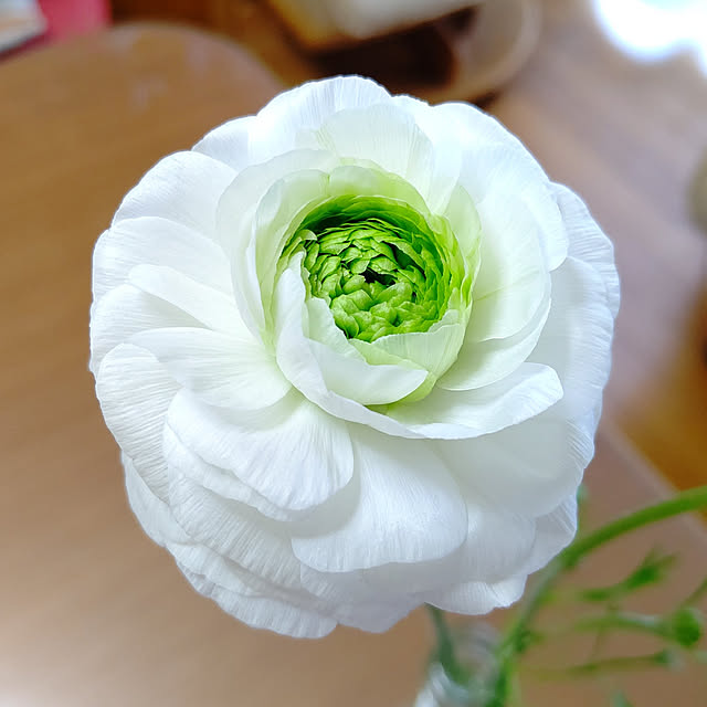 yumirinさんの実例写真