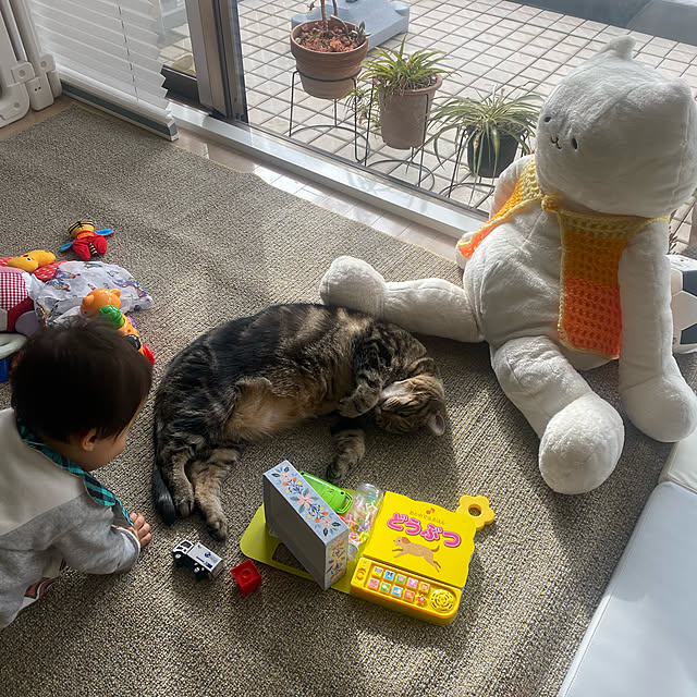 mikomaruさんの実例写真
