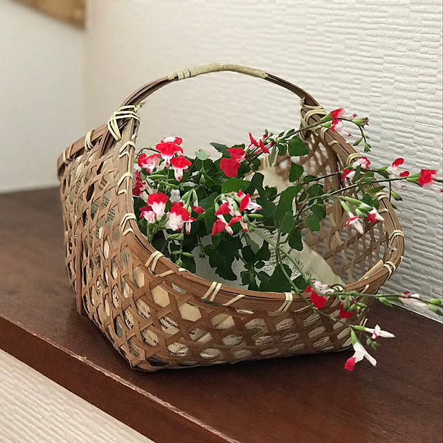 masakoさんの実例写真