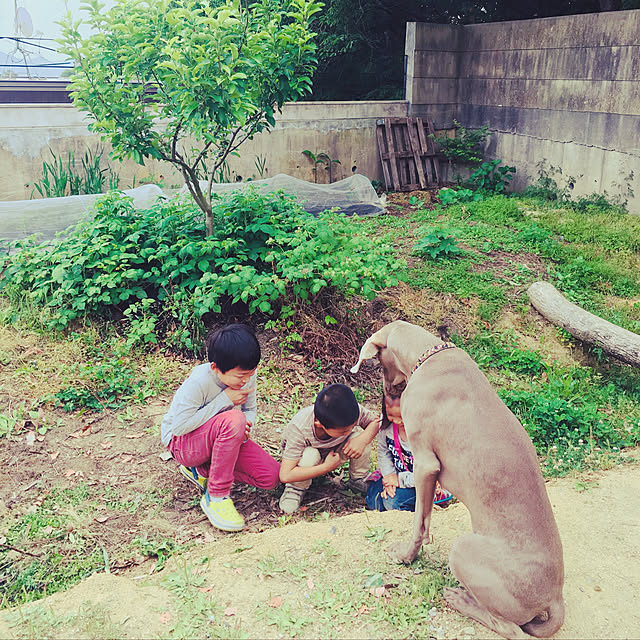 ulalaさんの実例写真