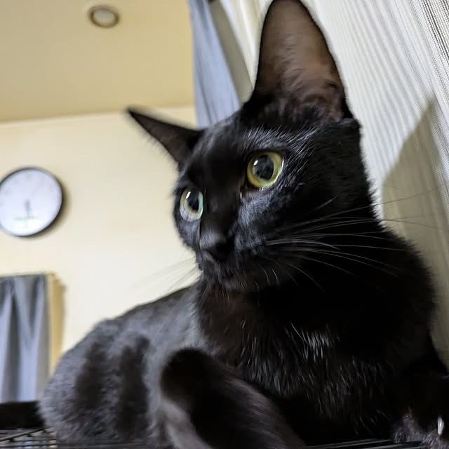 asaさんの部屋