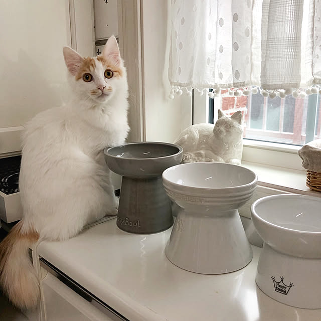 yuchiさんの実例写真