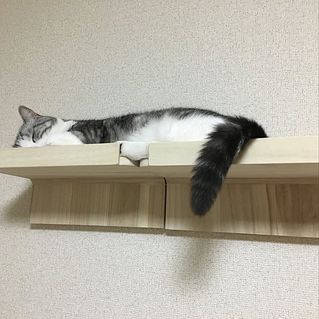 narashimhaさんの実例写真