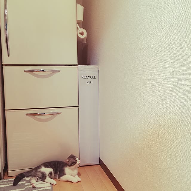 tansukeさんの実例写真