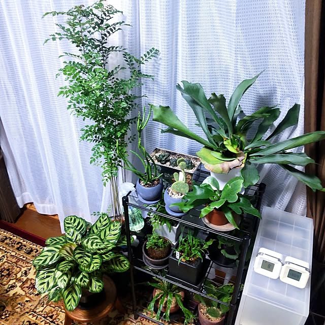 NSDさんの実例写真