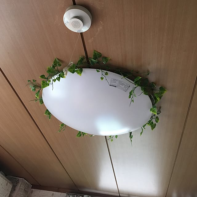 however.1113yunaさんの実例写真