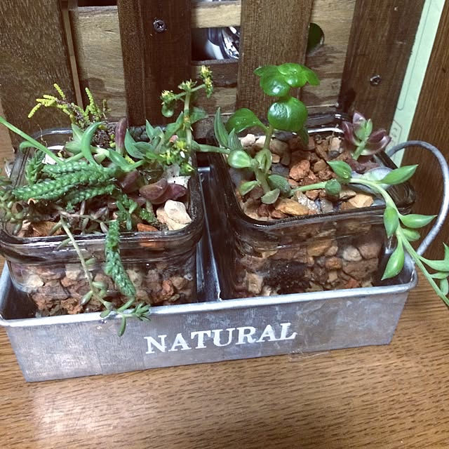 mint.0828さんの実例写真