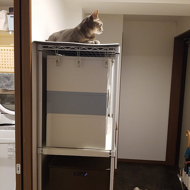 yukiさんの実例写真