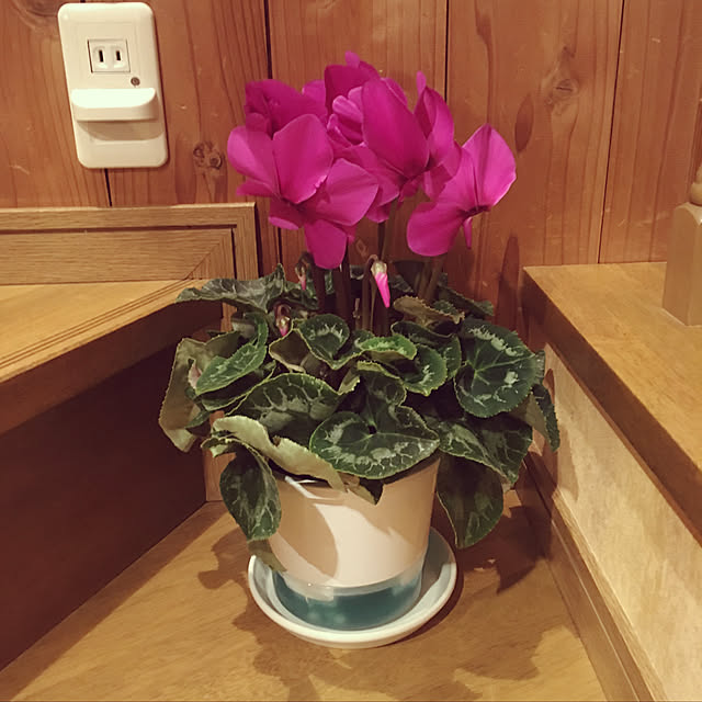 mama_sanさんの実例写真