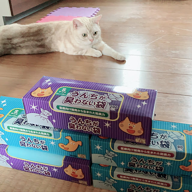 sirasu.nさんの実例写真