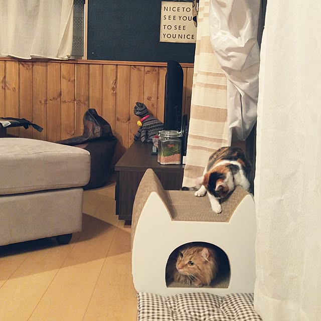 l..tomesanさんの実例写真