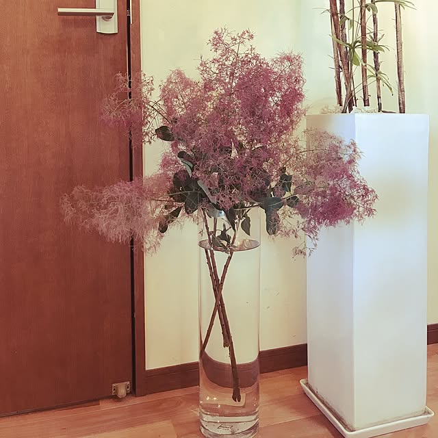 noraさんの実例写真