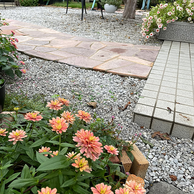 ronronさんの部屋