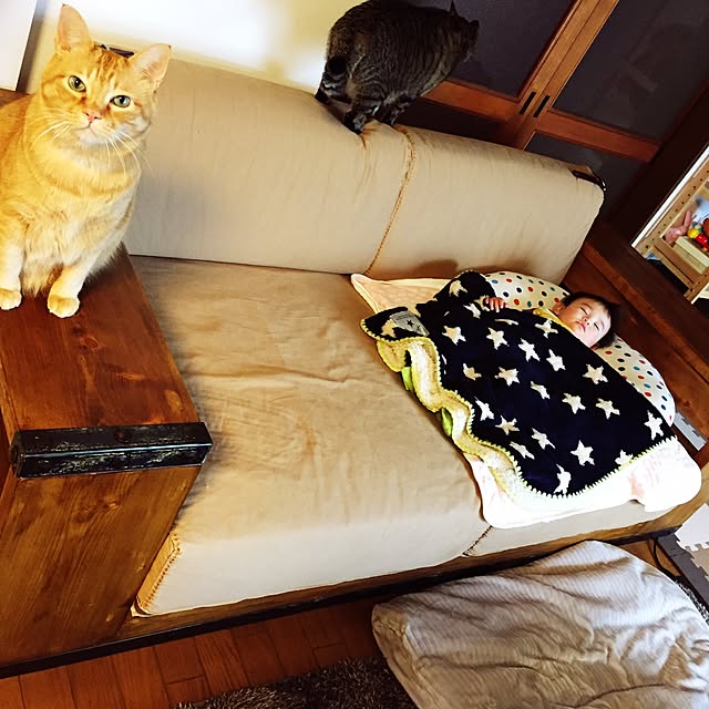 malaikaさんの実例写真