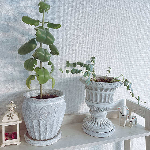 pedaroさんの実例写真