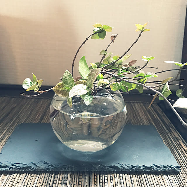 rinrinさんの実例写真