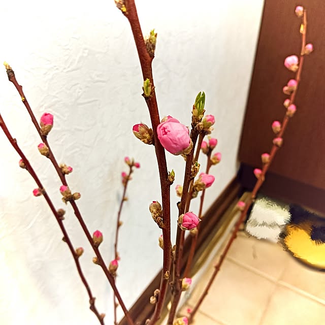 saki++さんの部屋