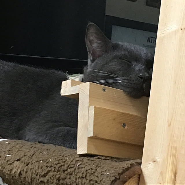 kmakkyiさんの実例写真
