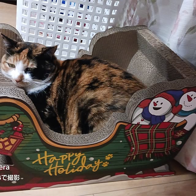 aiさんの部屋