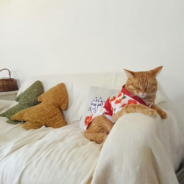 mayutan.さんの実例写真