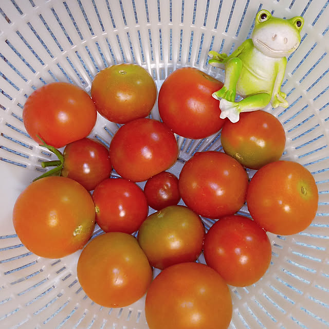 mocomocoさんの実例写真