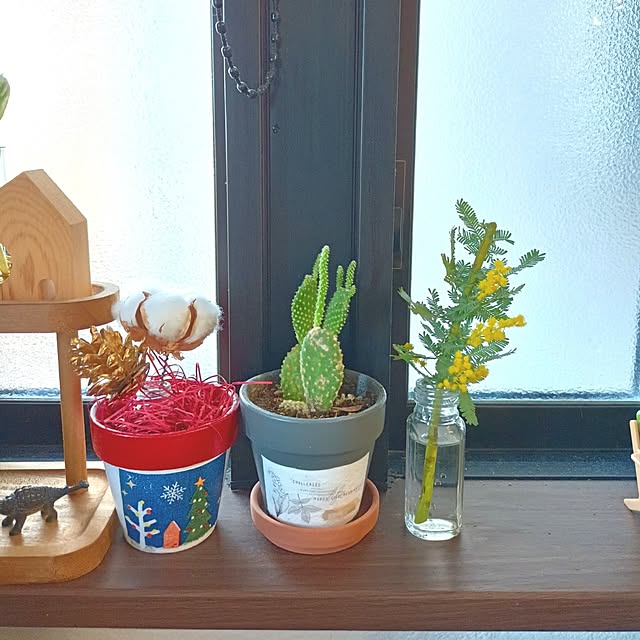 tomo5さんの実例写真