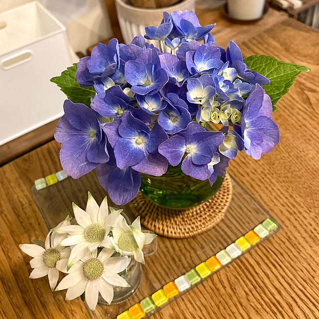 ayayayayaさんの実例写真