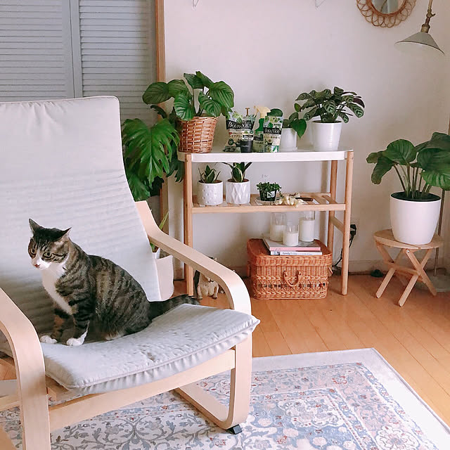 milkcocoaさんの部屋