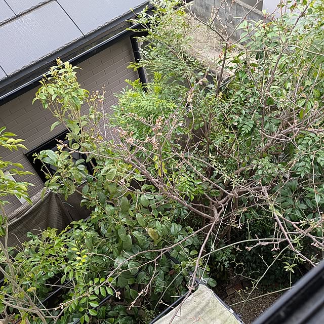 mori_6_12さんの部屋