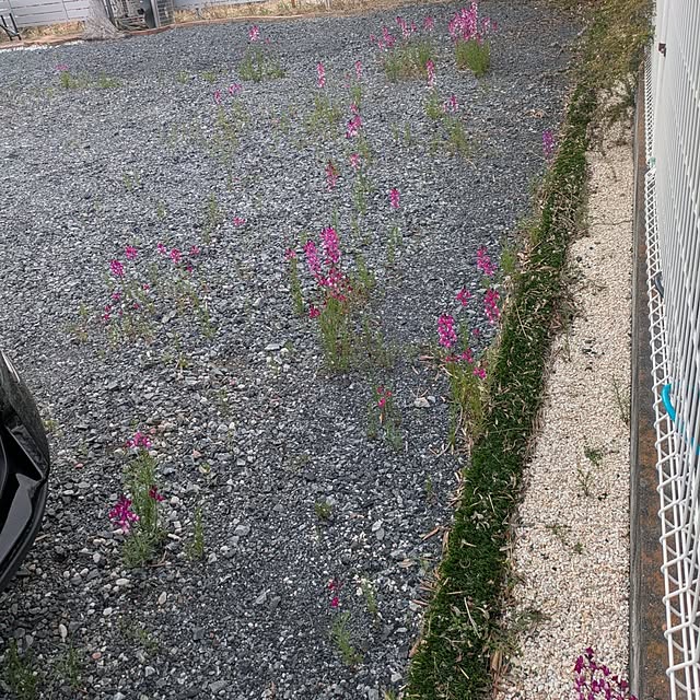 renrinmamaさんの実例写真