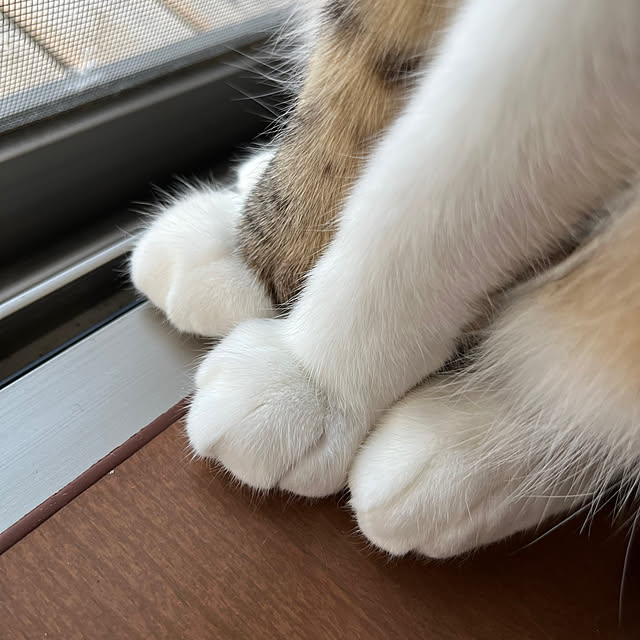 nacchi4さんの実例写真