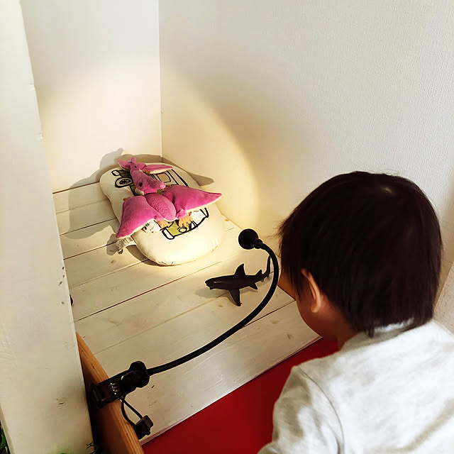 akatukiyukiさんの実例写真