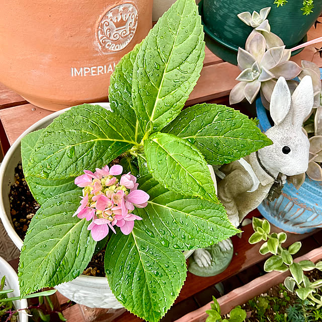 2.11maririnさんの部屋