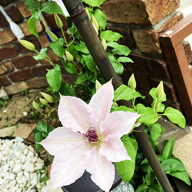 miさんの実例写真