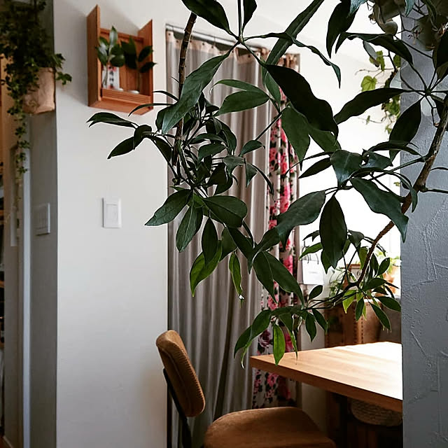 maison.de.brocanteさんの実例写真