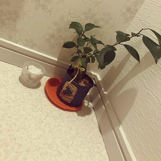maicochocolateさんの実例写真