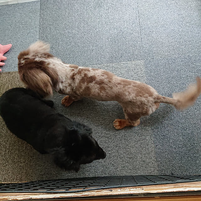 tikuwaさんの実例写真
